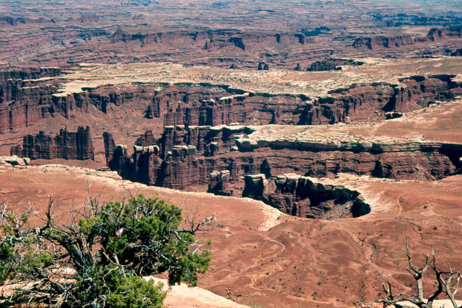 slideshow